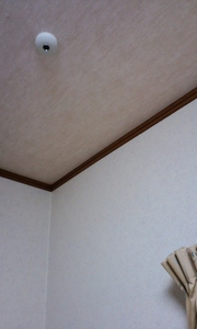 100108_1742~01.jpg