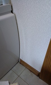 100113_1132~01.jpg