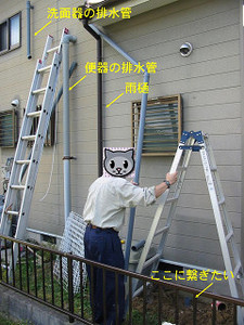 haikan02.jpg