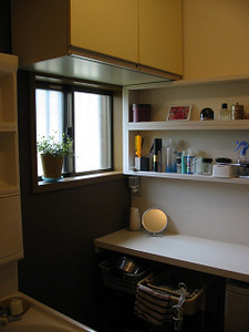 mini0250.jpg