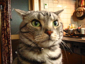 untitled20080625 006.jpg